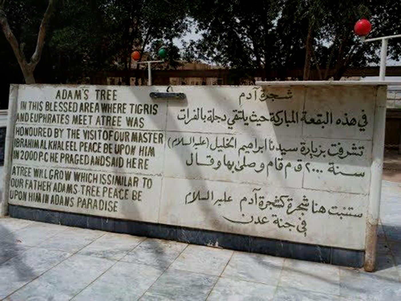 Drzewo poznania dobra i zła (Drzewo Wiedzy) w Al-Qurnah, Irak